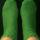Calcetines Gilb lisos