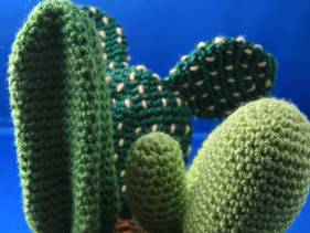 Centro de cactus de crochet