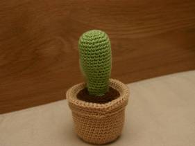 Cactus con maceta
