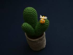 Cactus amigurimi con abejita
