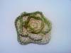 Broche flor de crochet verde