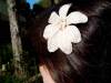 Simple lily hair pin