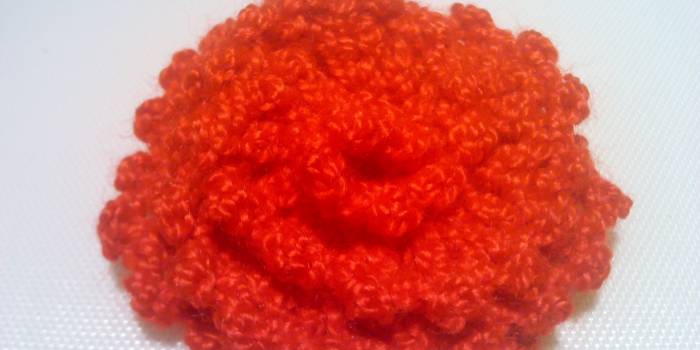 Broche de crochet de flor en espiral