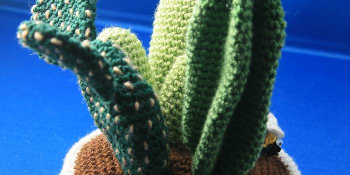 Centro de cactus de crochet