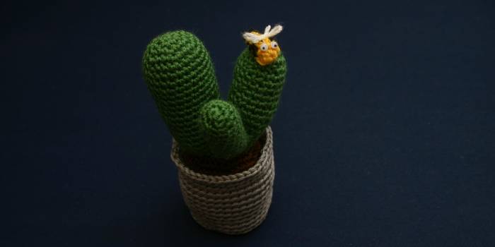 Cactus amigurimi con abejita