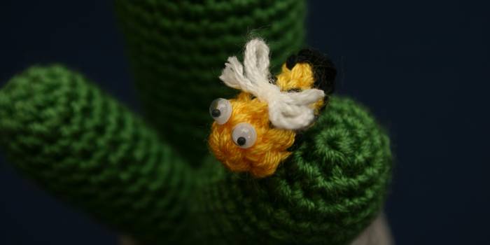 Cactus de crochet con abejita