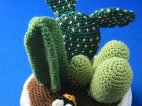 Centro de cactus de crochet