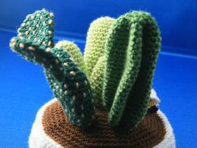 Centro de cactus de crochet