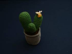 Cactus amigurimi con abejita