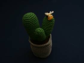 Cactus amigurimi con abejita