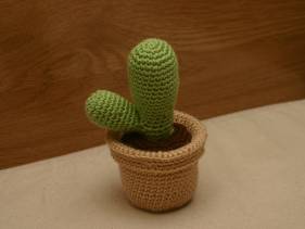 Cactus con maceta