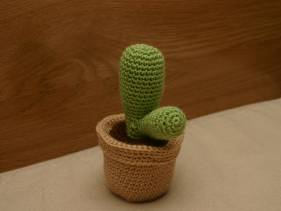 Cactus con maceta