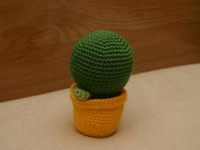 Cactus bolón con maceta amarilla