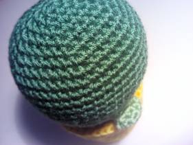 Cactus bolón con maceta amarilla