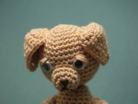 Labrador amigurimi