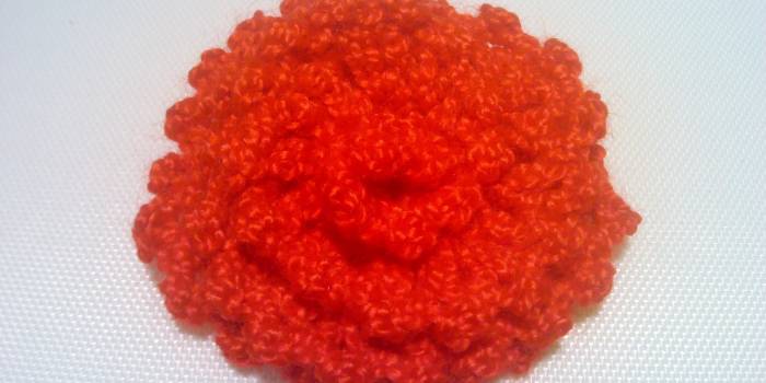 Broche de crochet de flor en espiral