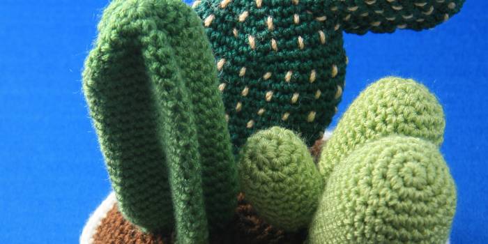 Centro de cactus de crochet