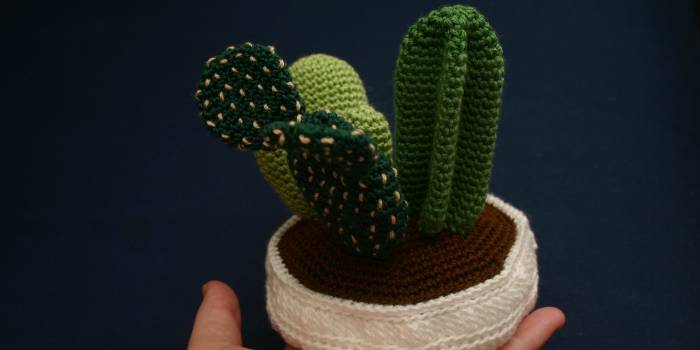 Centro de cactus de crochet