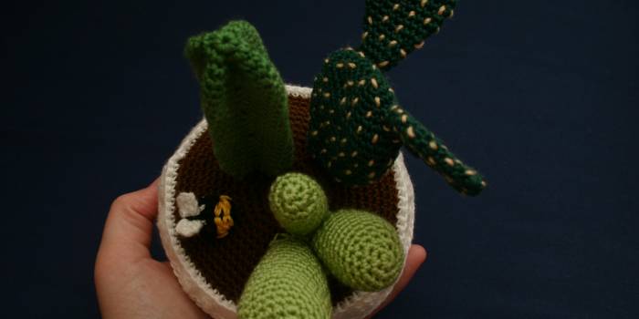 Centro de cactus de crochet