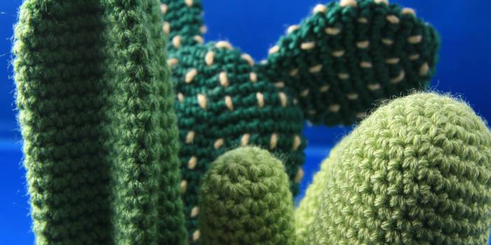 Centro de cactus de crochet