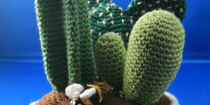 Centro de cactus de crochet