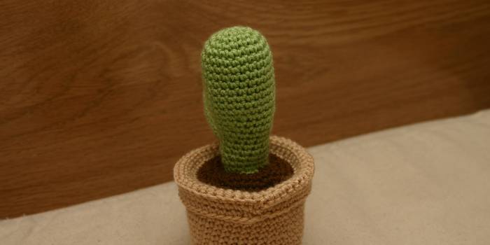 Cactus con maceta