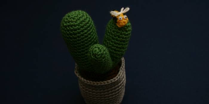 Cactus amigurimi con abejita