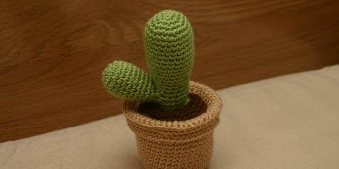 Cactus con maceta