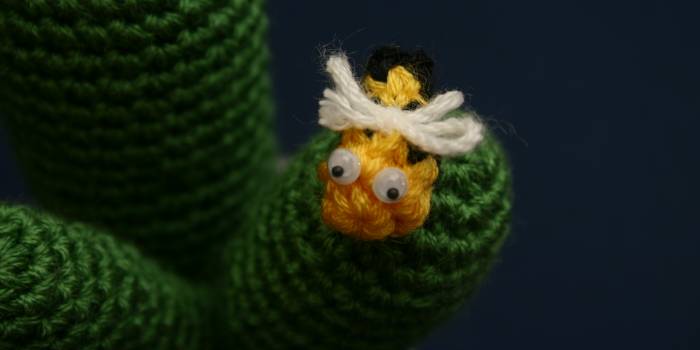 Cactus amigurimi con abejita
