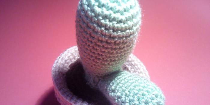 Cactus con maceta