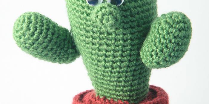 amigurimi muñeco cactus
