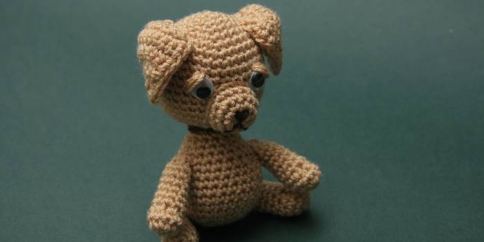 Labrador amigurimi