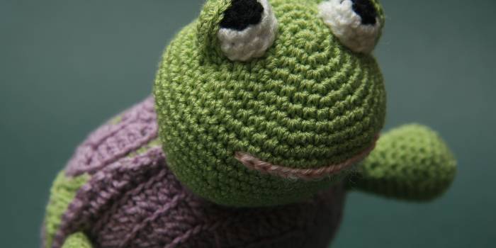 Tortuga amigurimi